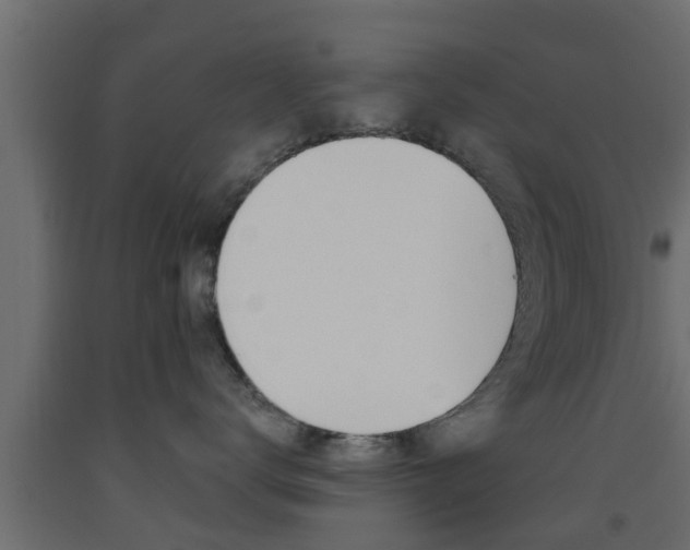 X0000093500672200710121044