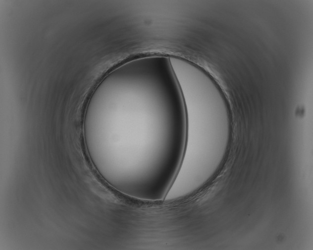 X0000093500673200710121044