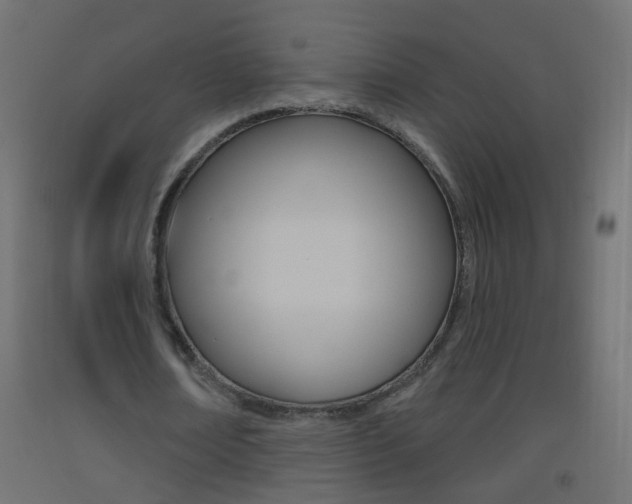 X0000093500674200710121044