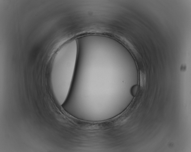 X0000093500675200710121044