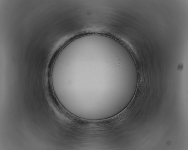 X0000093500678200710121044