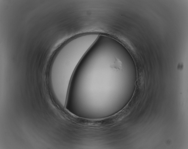 X0000093500680200710121044