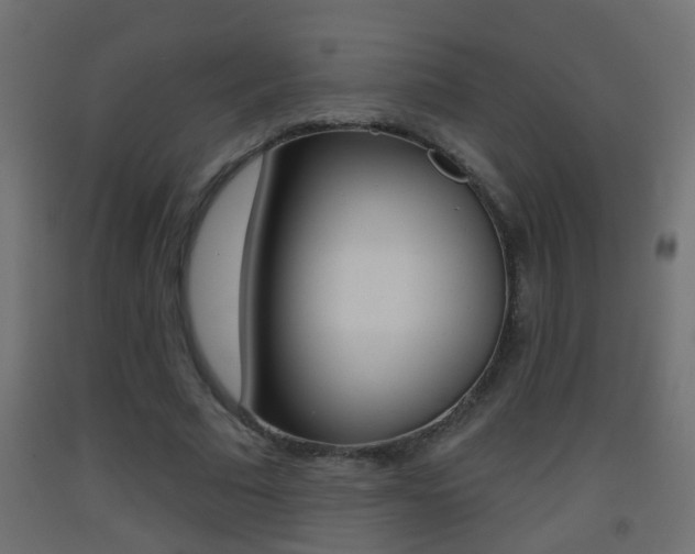 X0000093500681200710121044