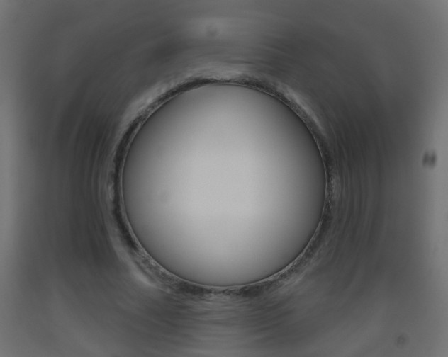 X0000093500682200710121044