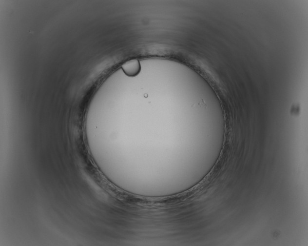 X0000093500683200710121044