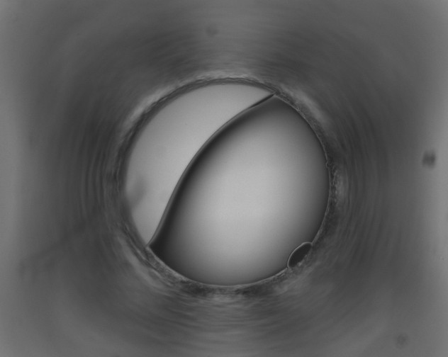 X0000093500684200710121044