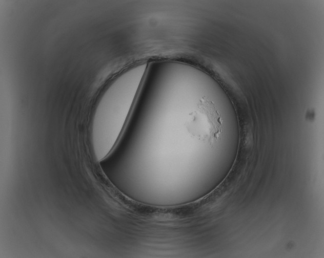X0000093500685200710121044