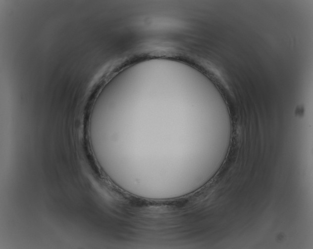 X0000093500686200710121044