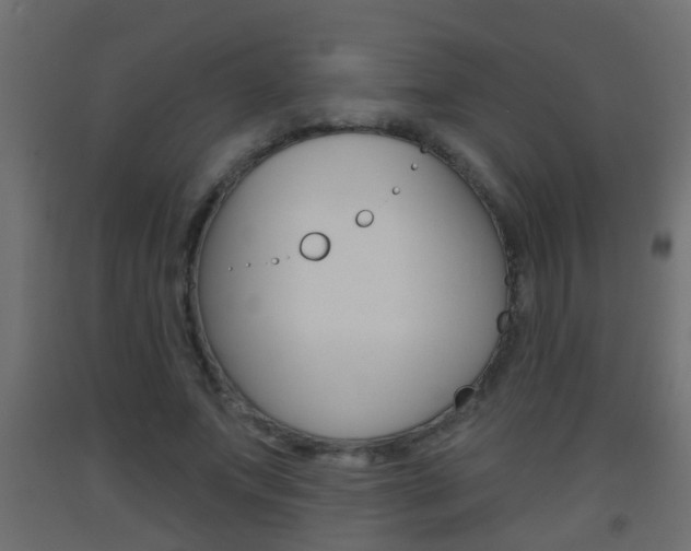 X0000093500687200710121044