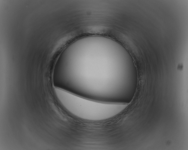 X0000093500688200710121044