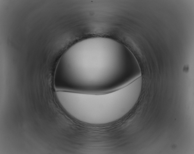 X0000093500689200710121044