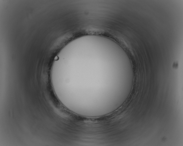 X0000093500690200710121044