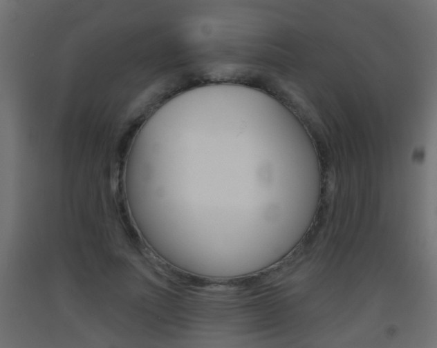 X0000093500691200710121044