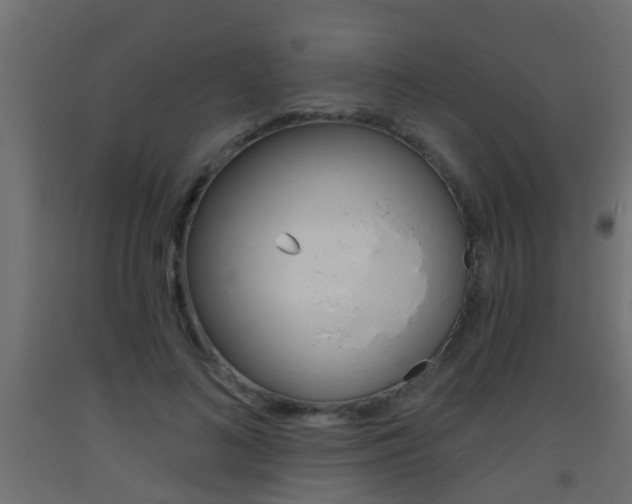 X0000093500692200710121044