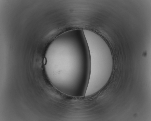 X0000093500693200710121044