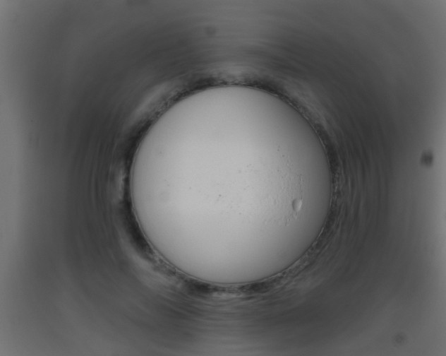 X0000093500694200710121044