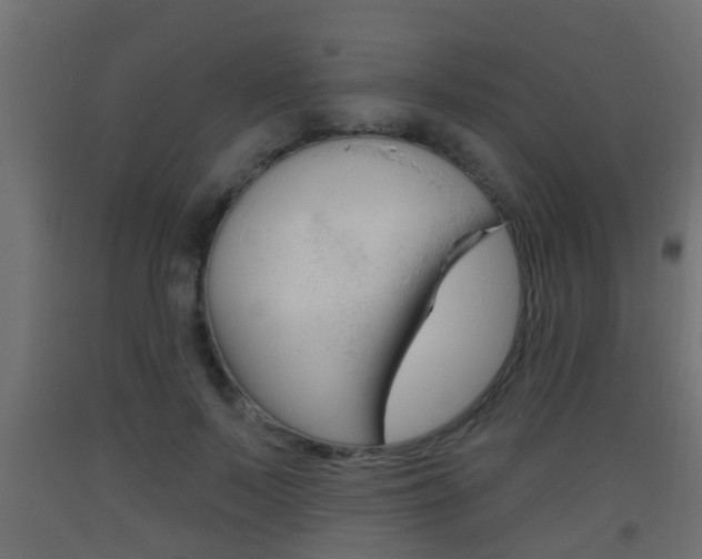 X0000093500695200710121044