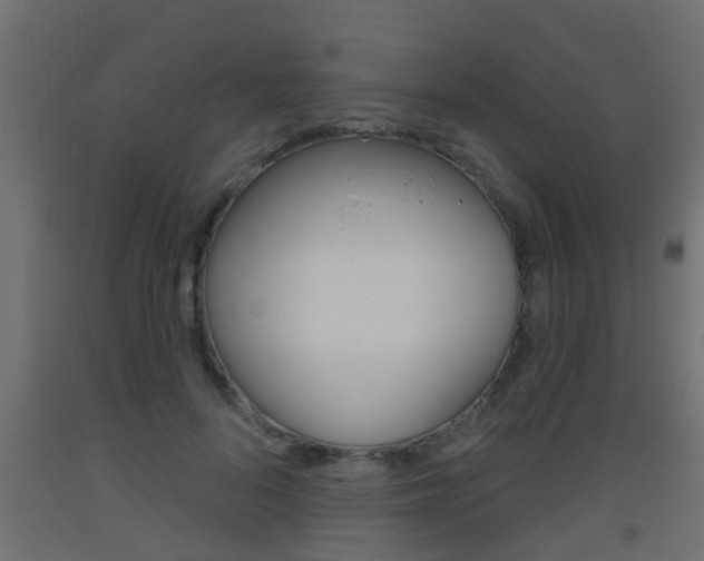 X0000093500696200710121044