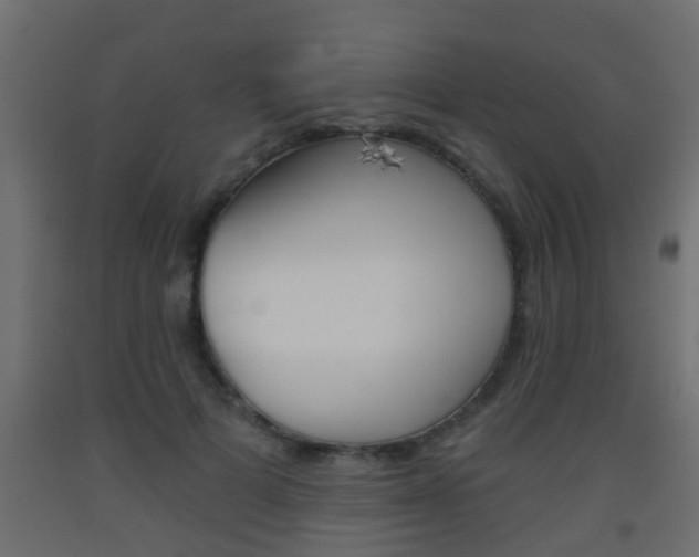 X0000093500697200710121044
