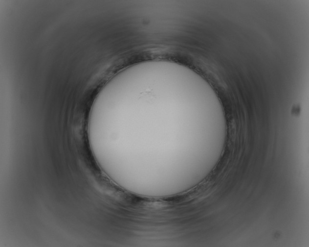 X0000093500698200710121044