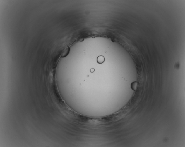 X0000093500703200710121043