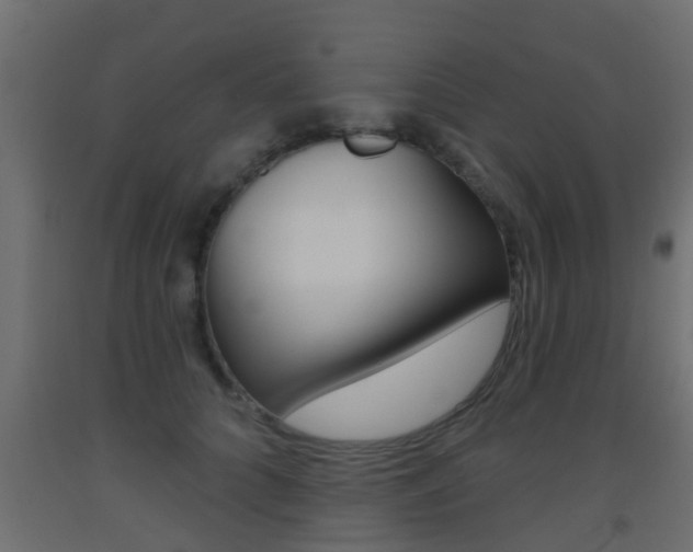 X0000093500704200710121043