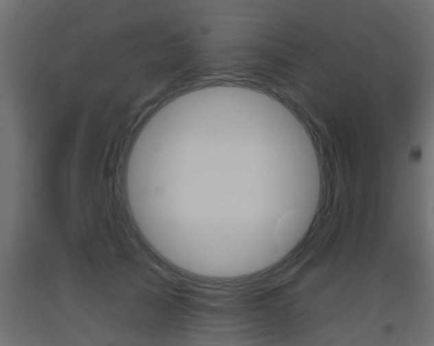 X0000093500705200710121043