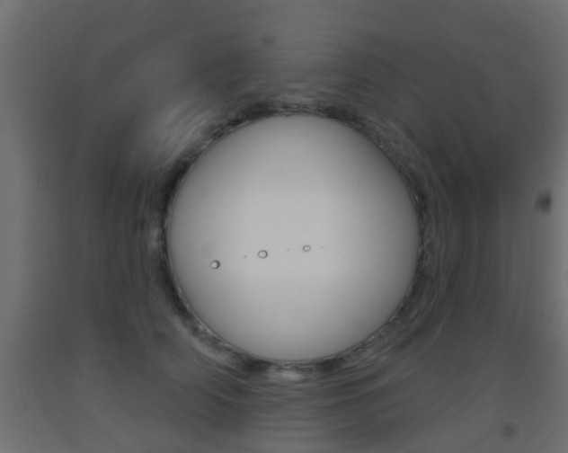 X0000093500706200710121043