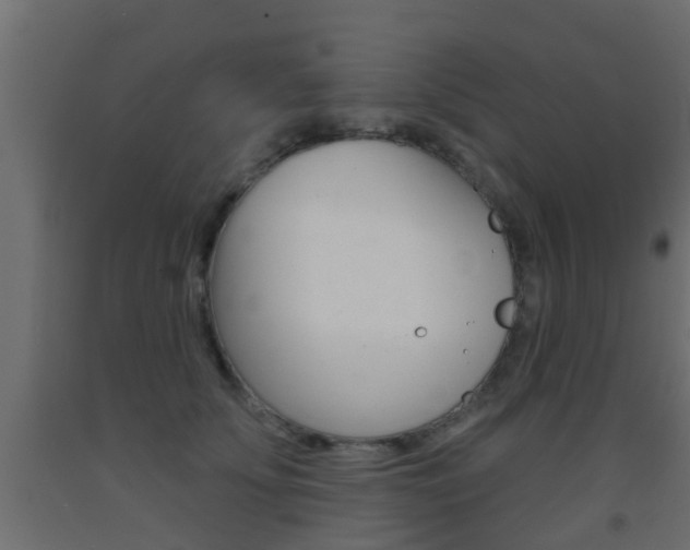 X0000093500707200710121043