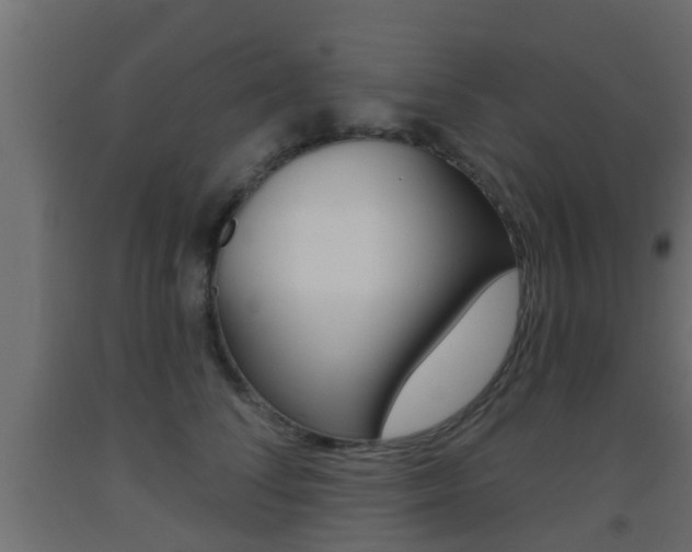 X0000093500708200710121043