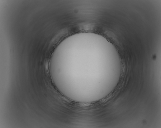 X0000093500709200710121043