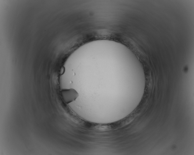 X0000093500711200710121043