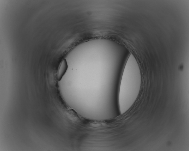 X0000093500712200710121043