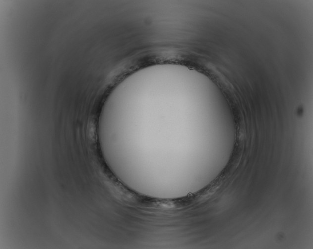 X0000093500715200710121043