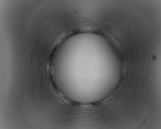X0000093500716200710121043