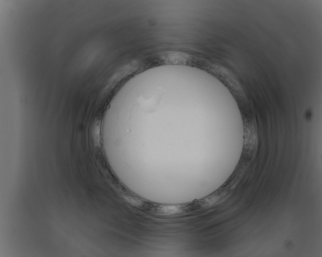 X0000093500717200710121043