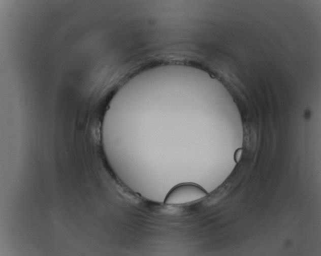 X0000093500718200710121043
