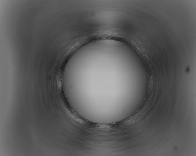 X0000093500719200710121043