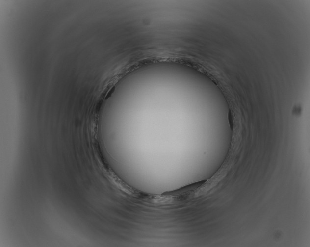 X0000093500720200710121043