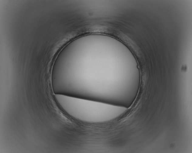 X0000093500721200710121042