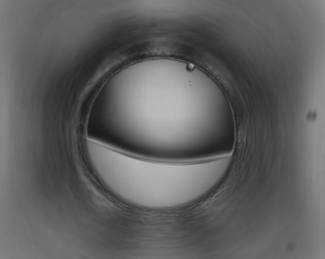 X0000093500722200710121042