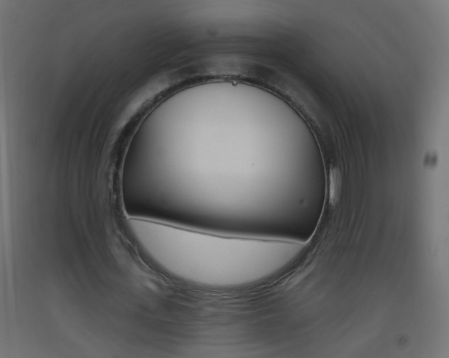 X0000093500723200710121042