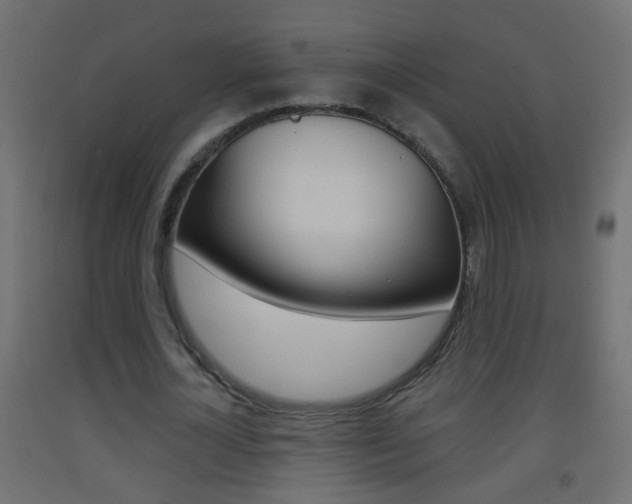 X0000093500724200710121042