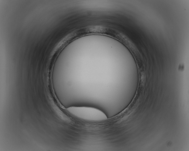 X0000093500725200710121042