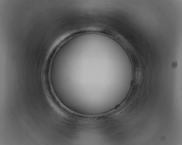 X0000093500726200710121042