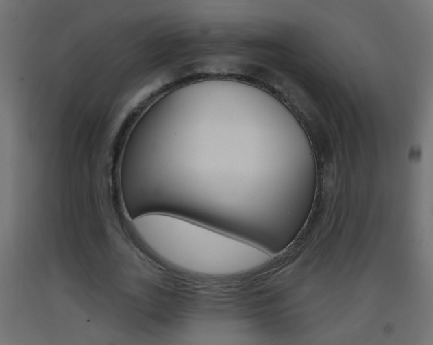 X0000093500727200710121042