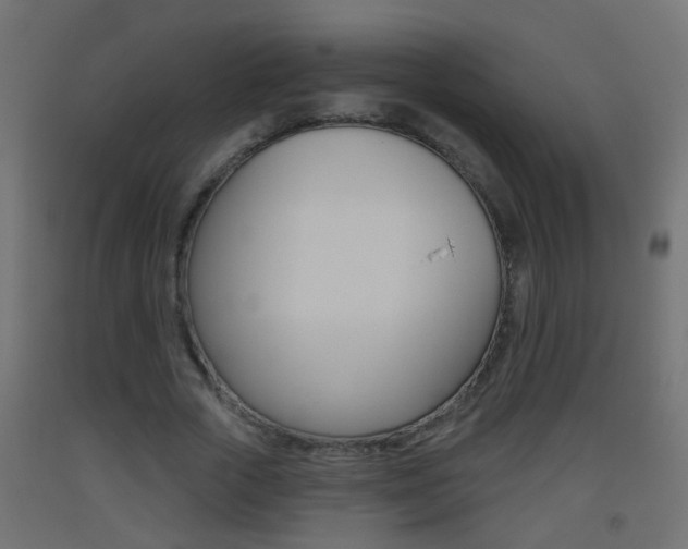 X0000093500729200710121042