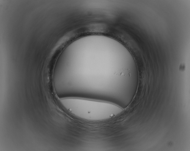 X0000093500731200710121042