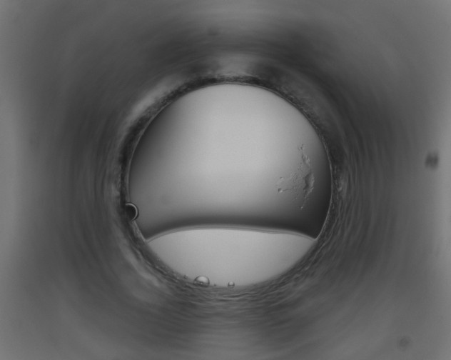 X0000093500732200710121042