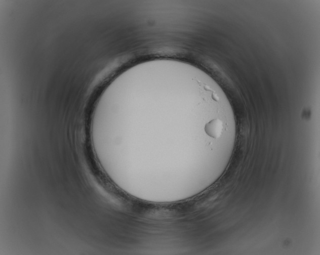 X0000093500734200710121042